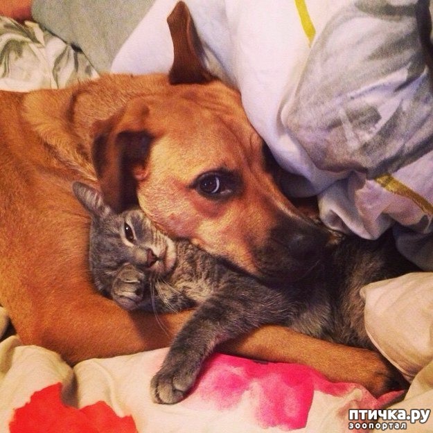 ���� 19: ����� ������������ �������.