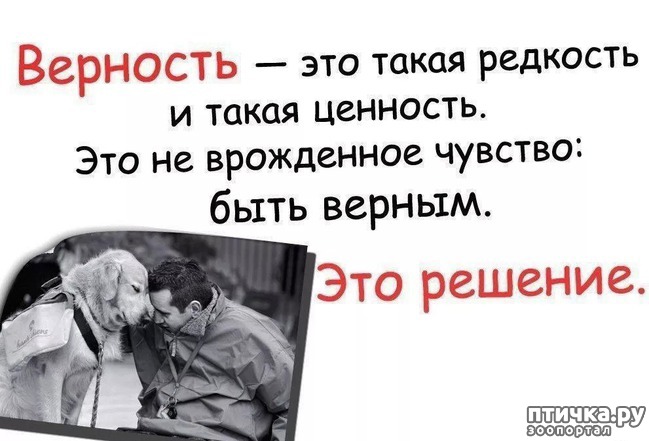 ���� 1: ����� ������������ �������.