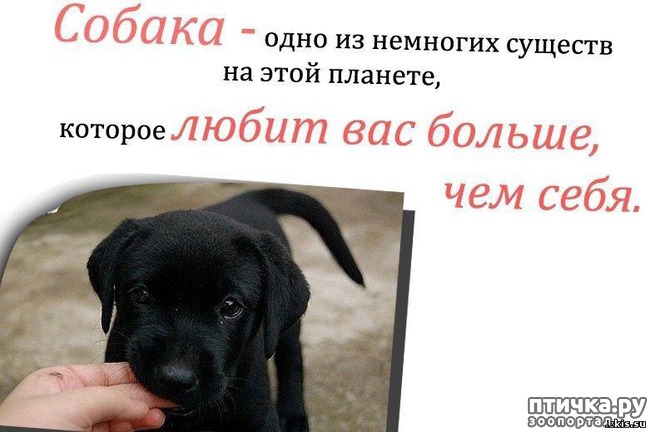 ���� 20: ����� ������������ �������.