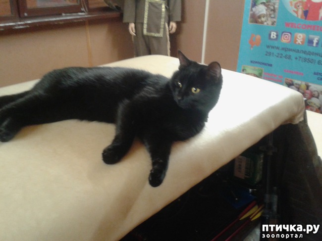 ���� 2: �������� ������ � ���� ���� �������, �... ��� ���� ����� ������ �� ��� ������ ( ( (