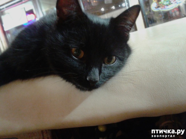 ���� 3: �������� ������ � ���� ���� �������, �... ��� ���� ����� ������ �� ��� ������ ( ( (