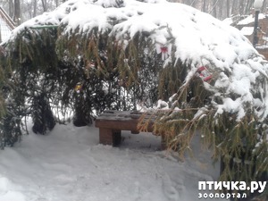 ����: �������� ������ � ���� ���� �������, �... ��� ���� ����� ������ �� ��� ������ ( ( (