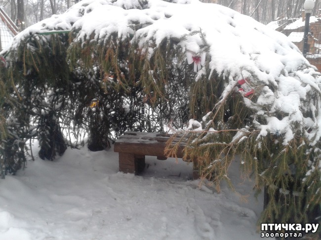 ���� 1: �������� ������ � ���� ���� �������, �... ��� ���� ����� ������ �� ��� ������ ( ( (