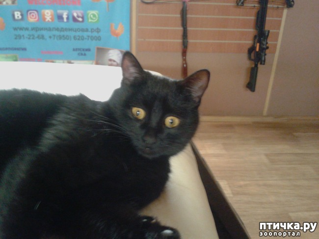 ���� 4: �������� ������ � ���� ���� �������, �... ��� ���� ����� ������ �� ��� ������ ( ( (