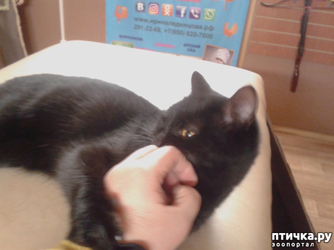 ���� 5: �������� ������ � ���� ���� �������, �... ��� ���� ����� ������ �� ��� ������ ( ( (