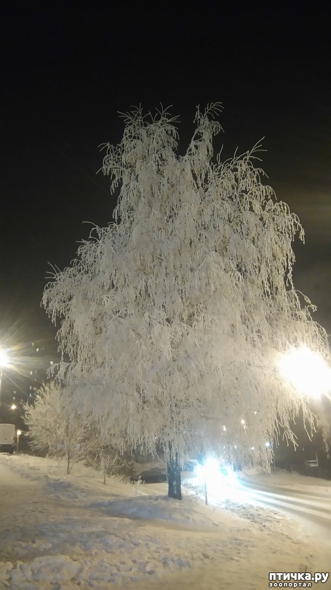 ���� 9: ��������������. �����-����� - ����-������...