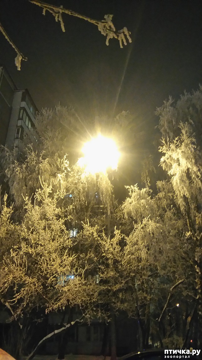 ���� 10: ��������������. �����-����� - ����-������...