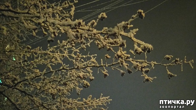 ���� 11: ��������������. �����-����� - ����-������...