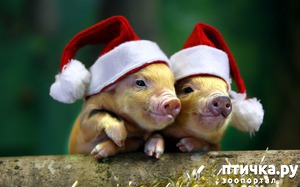 ����: � ����������� ����� �����!