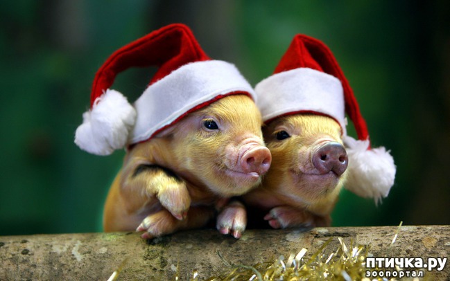 ���� 1: � ����������� ����� �����!