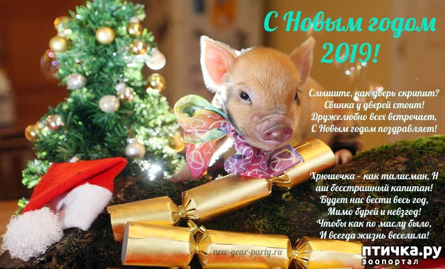 ���� 3: � ����������� ����� �����!