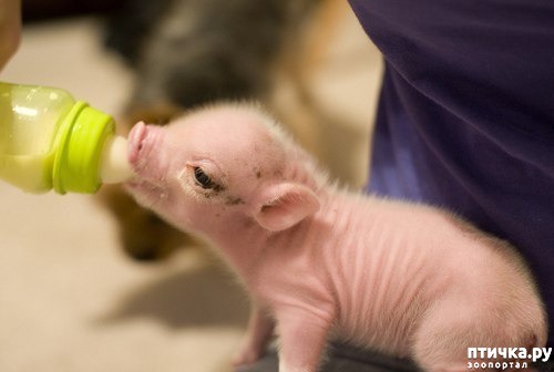 ���� 5: � ����������� ����� �����!