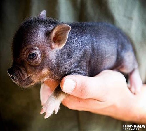 ���� 6: � ����������� ����� �����!