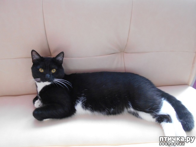 ���� 4: ��� ���� � ���� ����� � ����� ����� ����