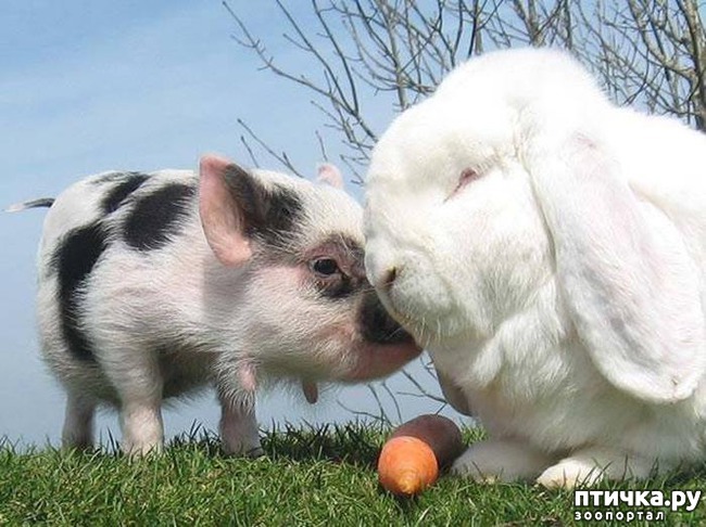 ���� 10: � ����������� ����� �����!