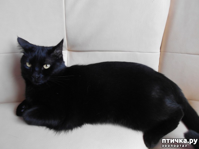 ���� 1: ��� ���� � ���� ����� � ����� ����� ����