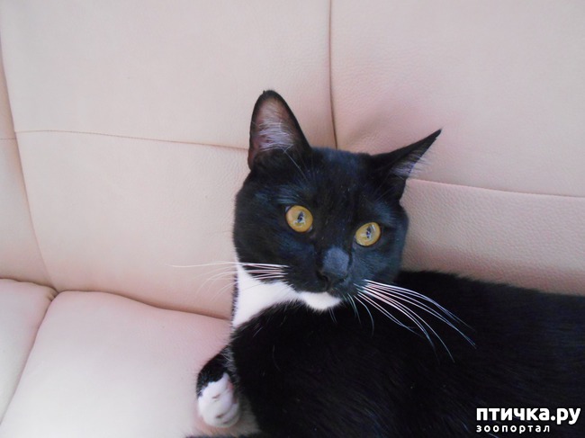 ���� 3: ��� ���� � ���� ����� � ����� ����� ����