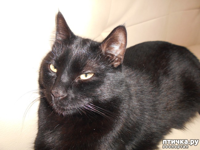 ���� 2: ��� ���� � ���� ����� � ����� ����� ����