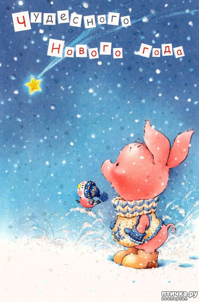 ���� 12: � ����������� ����� �����!