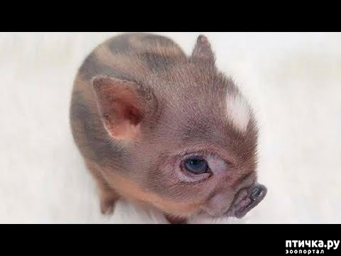 ���� 15: � ����������� ����� �����!