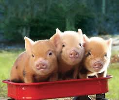 ���� 18: � ����������� ����� �����!