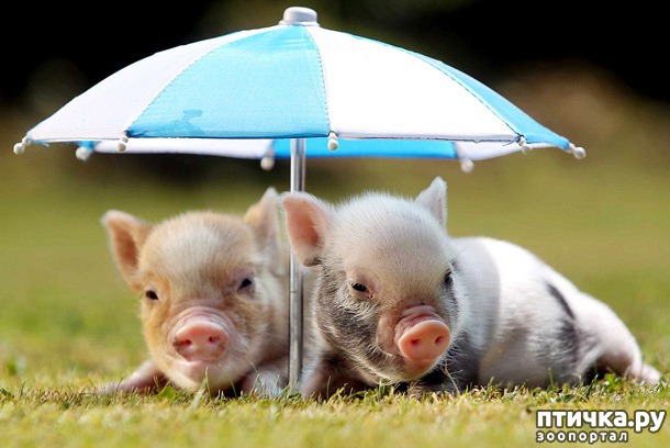 ���� 19: � ����������� ����� �����!