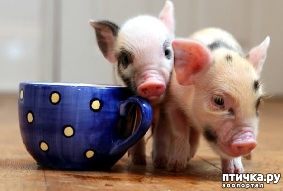 ���� 21: � ����������� ����� �����!