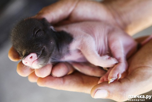 ���� 22: � ����������� ����� �����!