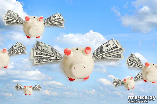 ���� 20: � ����������� ����� �����!