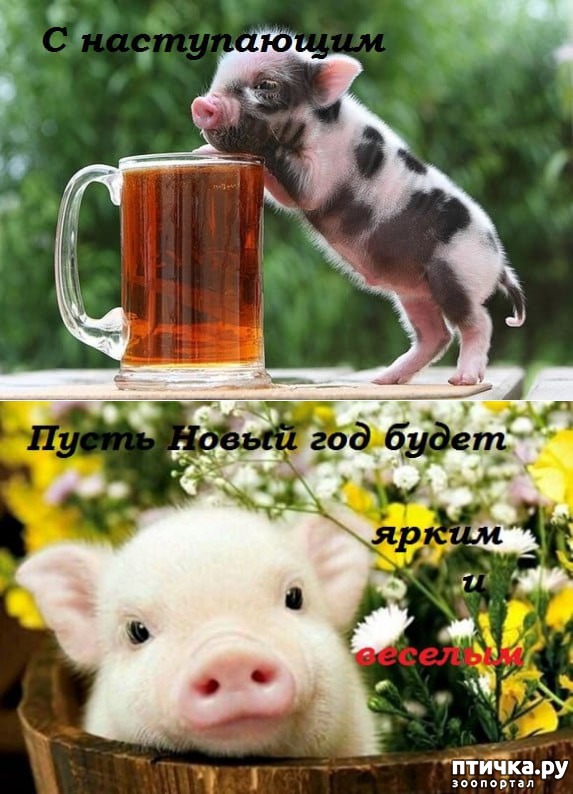 ���� 17: � ����������� ����� �����!