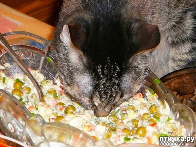 ���� 2: ���������� ��������.