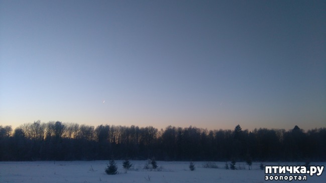 ���� 1: ��������������. �����-����� - ����-������...