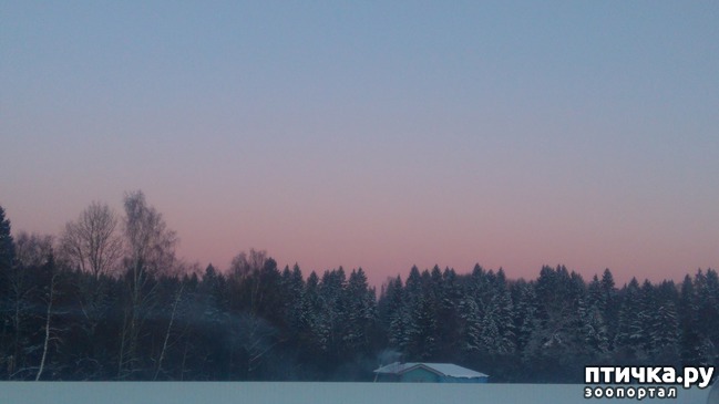 ���� 2: ��������������. �����-����� - ����-������...