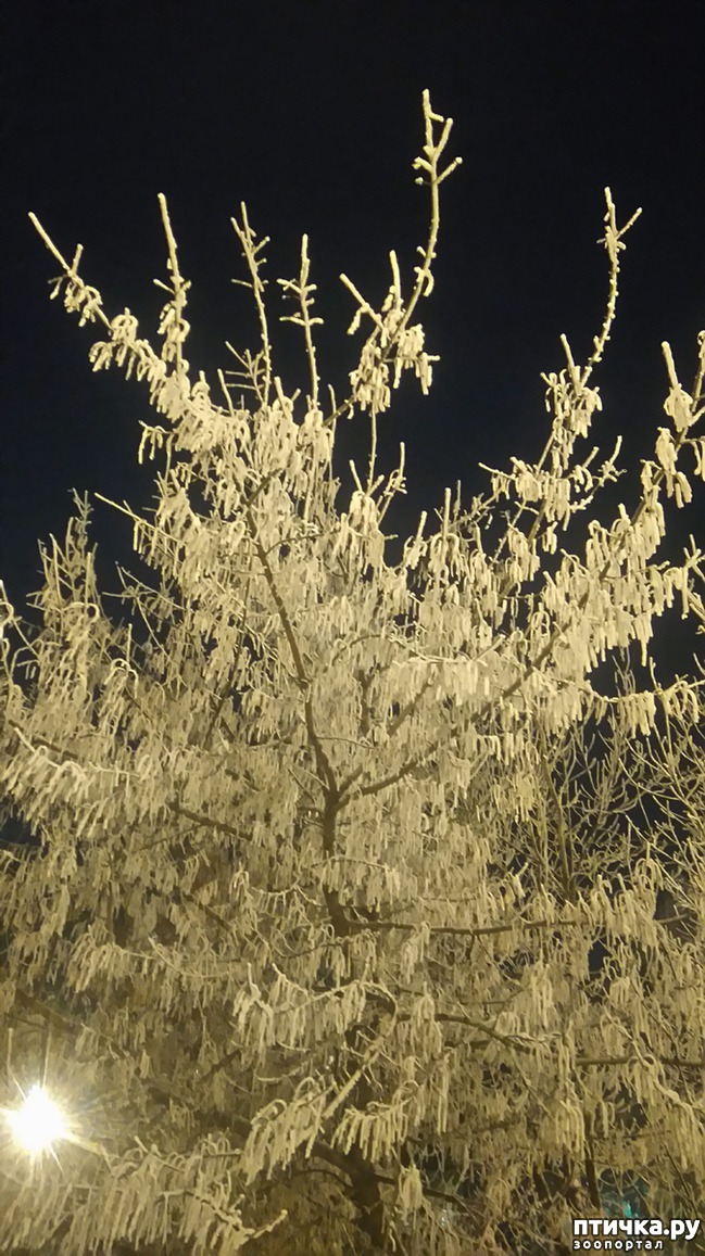 ���� 3: ��������������. �����-����� - ����-������...