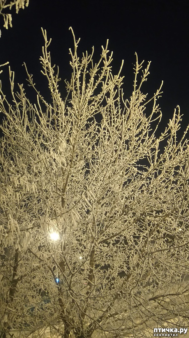 ���� 4: ��������������. �����-����� - ����-������...