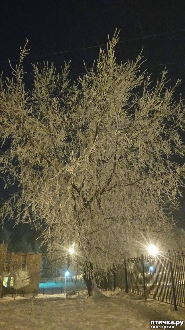 ���� 5: ��������������. �����-����� - ����-������...