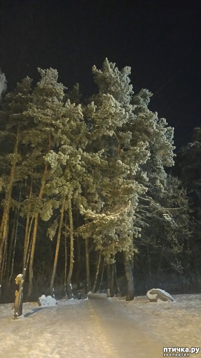 ���� 6: ��������������. �����-����� - ����-������...