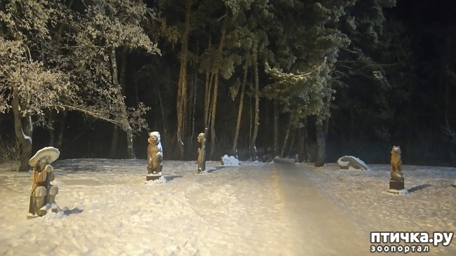 ���� 7: ��������������. �����-����� - ����-������...