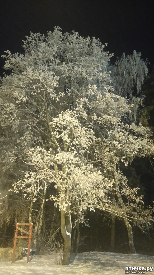 ���� 8: ��������������. �����-����� - ����-������...