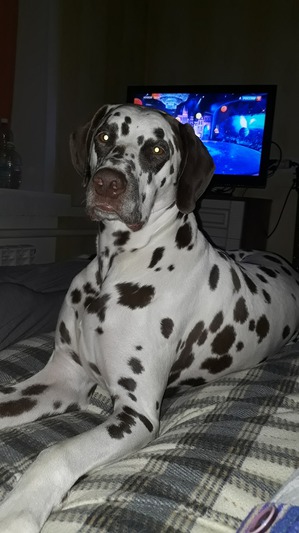 фотография: И снова Конопатый))) фото: И снова Конопатый)))