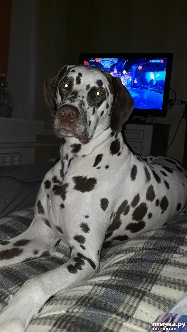 ���� 1: � ����� ���������)))