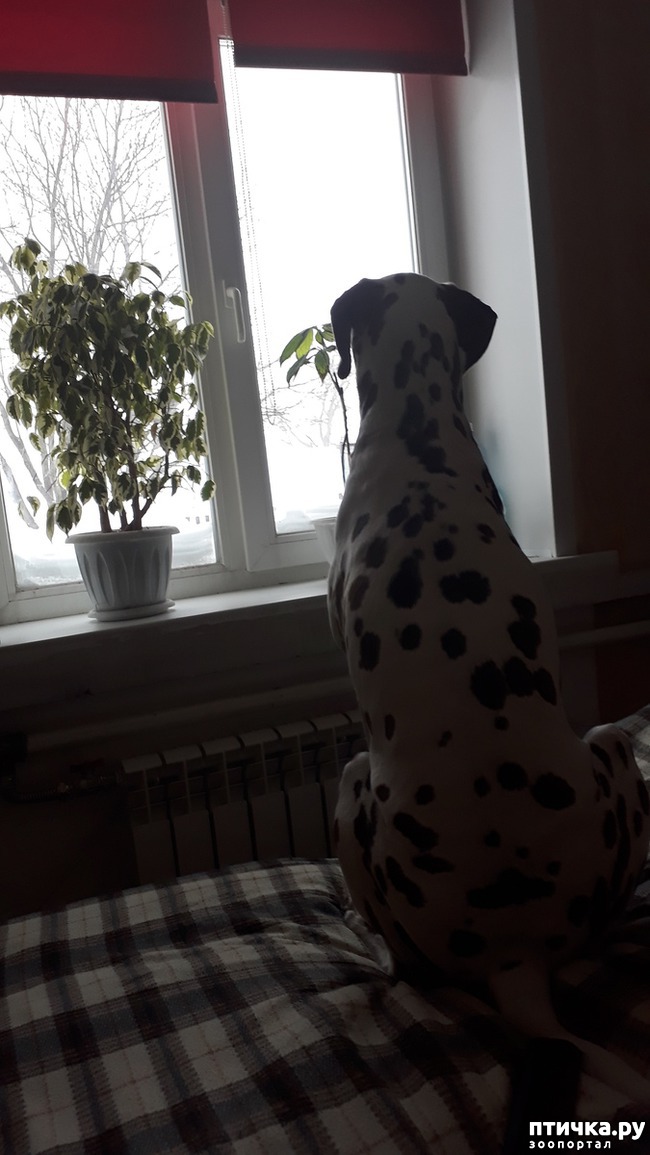 ���� 2: � ����� ���������)))