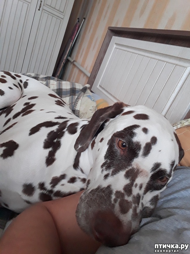 ���� 3: � ����� ���������)))