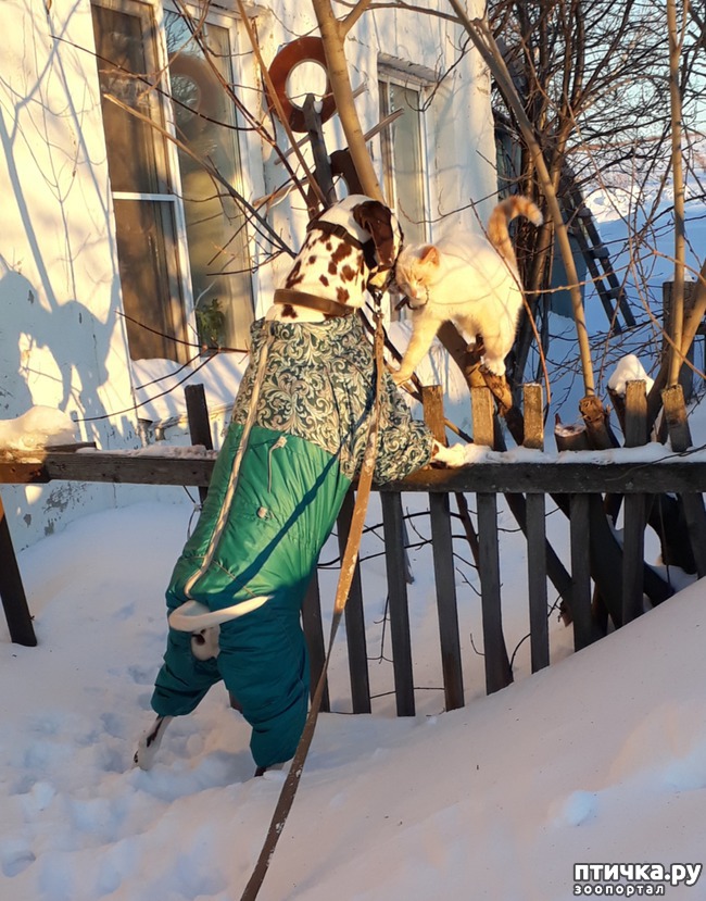 ���� 4: � ����� ���������)))