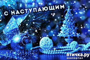 ����: � �����������!!!