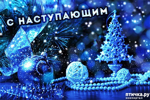 ���� 1: � �����������!!!