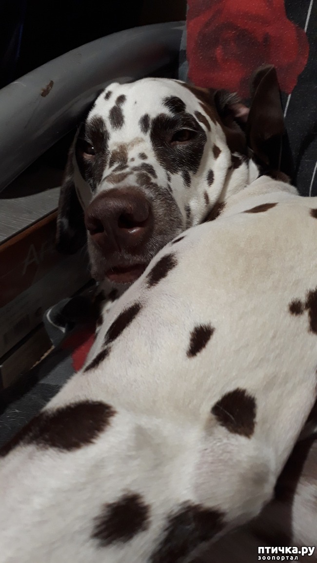 ���� 5: � ����� ���������)))