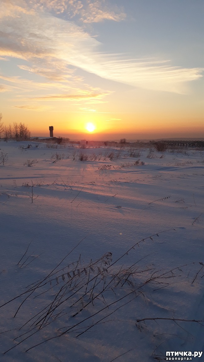 ���� 7: � ����� ���������)))