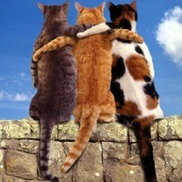 ���� 3: � �����������!!!