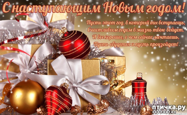 ���� 6: � �����������!!!